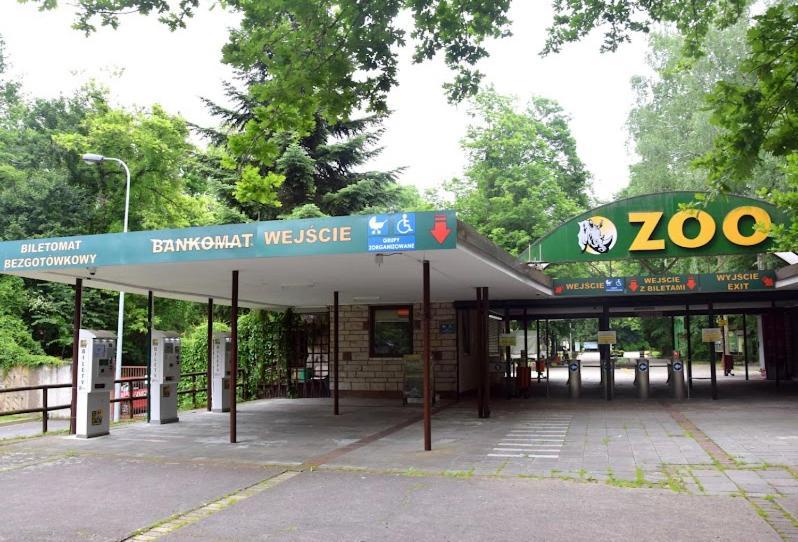 Apartament Czytelnia - Parking Gratis Poznań Esterno foto